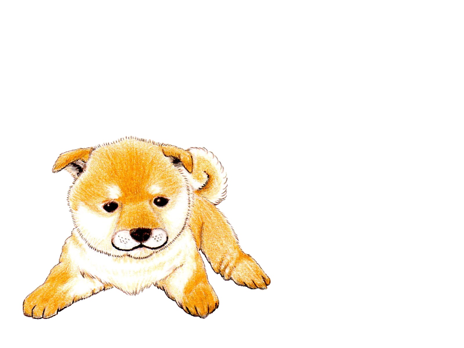【2018年は犬年】年末年始/お正月のフリーイラスト素材サイト10選