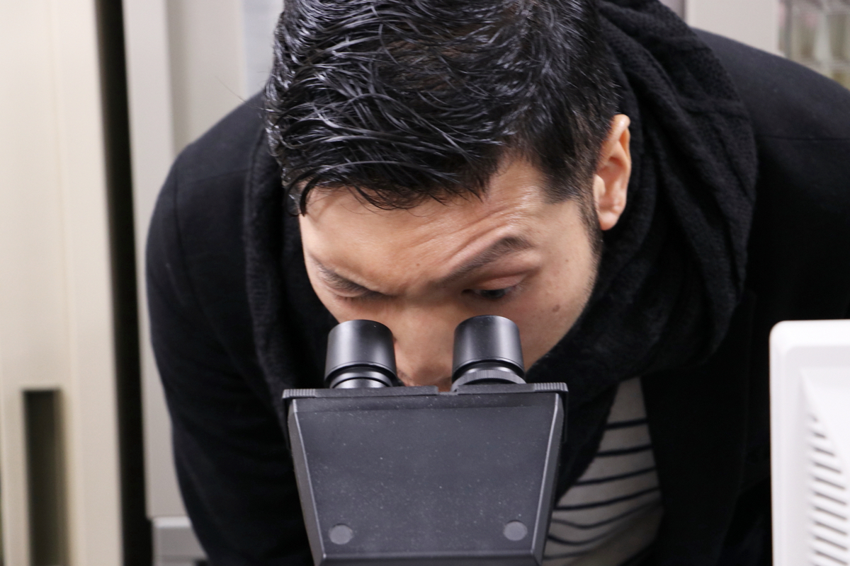 結局、菌ってなんなの?キノコと水虫は同じ生き物?詳しい人に話を聞いてみた。